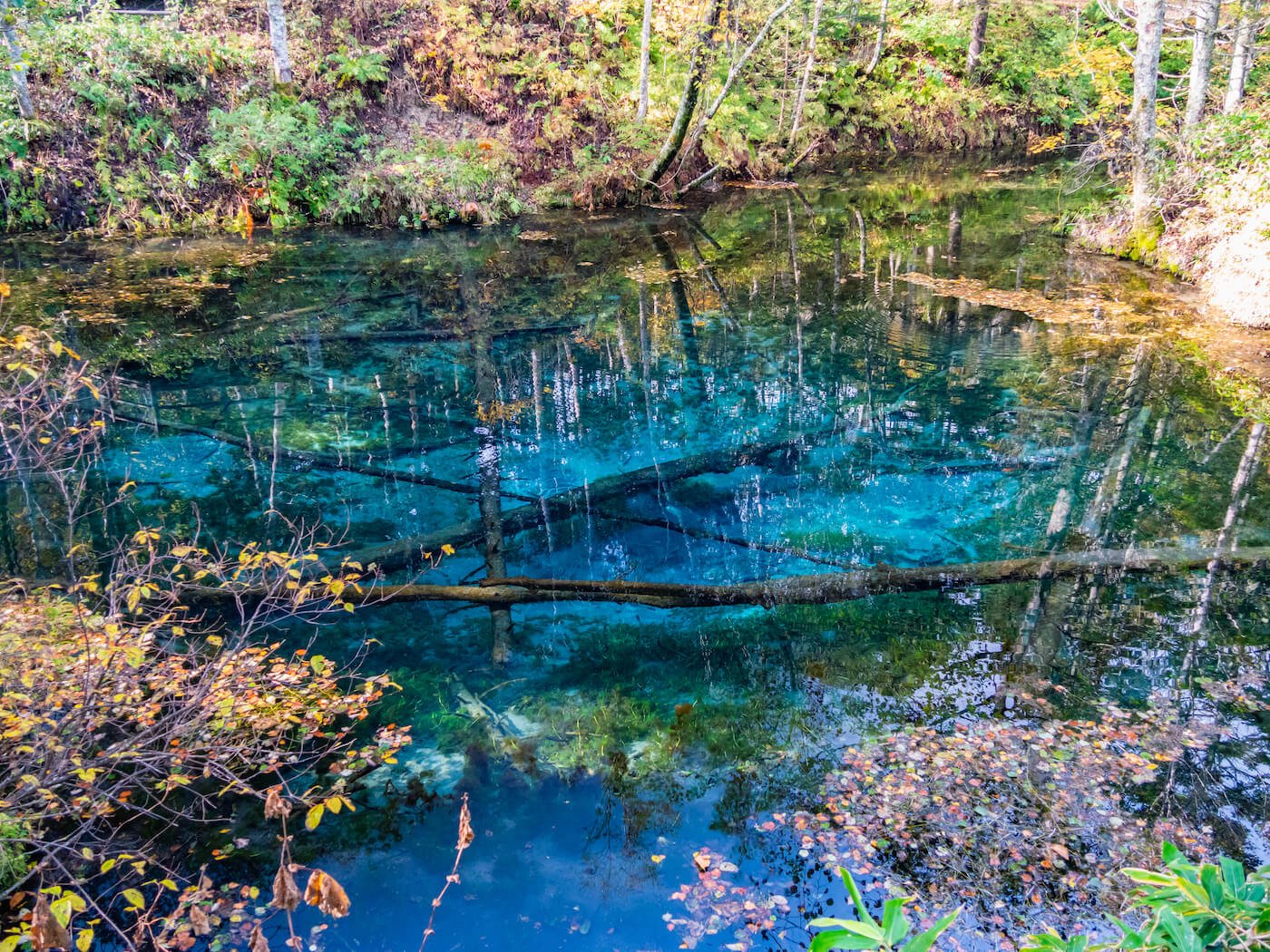 🏞️ 신의 아이 연못 (카미노코이케) 이미지 3